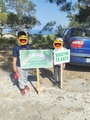 Καθαρισμός Δασών 4